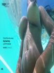 Красивая негритянка с огромными натуральными сиськами под водой, фото 4