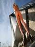 Нежная голая девушка с большими сиськами у моста, фото 12