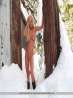 Блондинка Кортни голышом позирует на снегу, фото 4