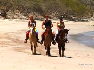 Трое девушек ковбоев путешествуют верхом на лошадях, подыскивая на свою жопу приключения, встретив одинокого мужика на пляже заездили его до семяизвержения